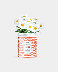 Kit di semi da piantare personalizzabile - 5